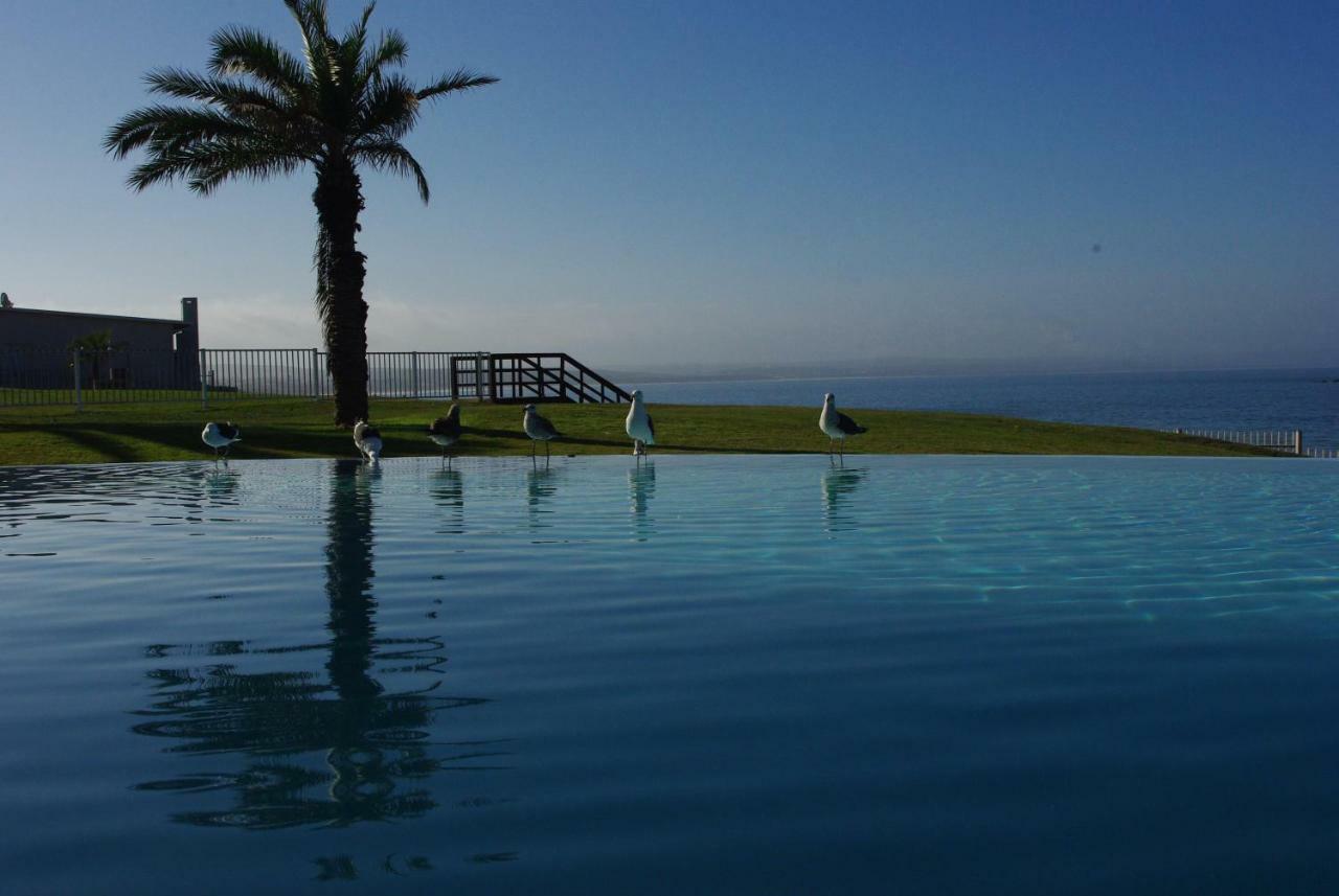 Beach Club Self Catering Apartments Mossel Bay Eksteriør billede